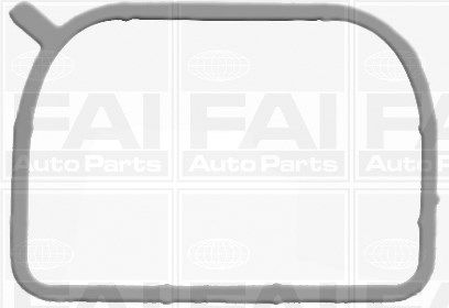 FAI AUTOPARTS tarpiklių rinkinys, įsiurbimo kolektorius IM2195A